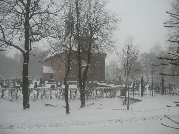 Nieuws scheemda in sneeuw